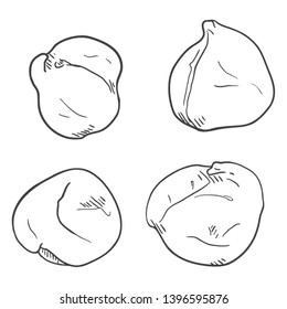 Vector Set of Sketch Chickpea on Isolated White Background