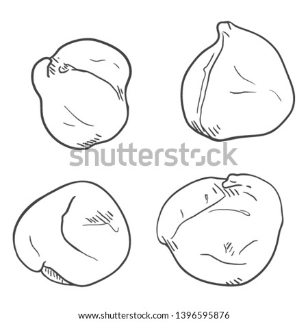 Vector Set of Sketch Chickpea on Isolated White Background