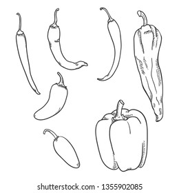 Vector Set of Sketch Chilli, Jalapeno and Paprika Peppers