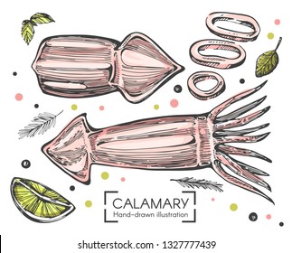 Vector set with sketch color squits