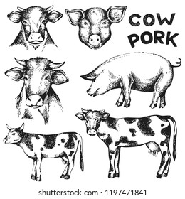 Vector set with sketch cow and pork