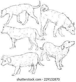 Vector Set of Sketch Dogs
