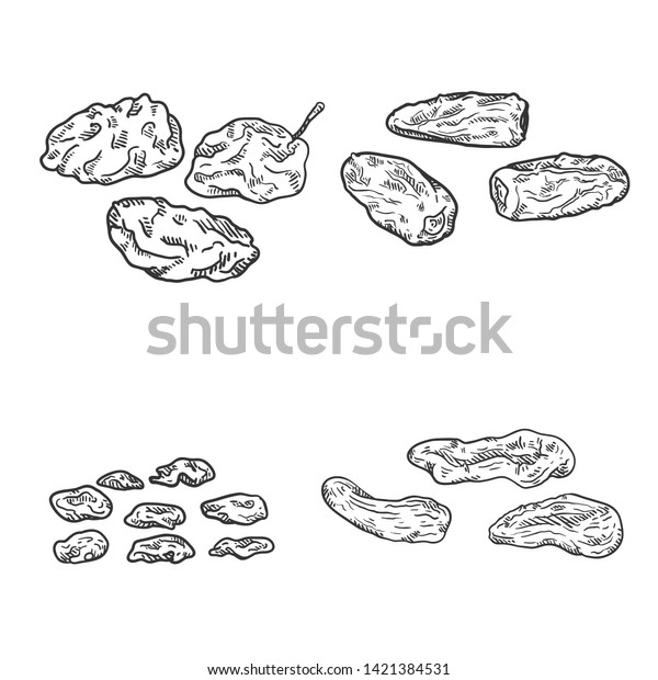 Vector Set of Sketch Dried Fruits. Prune, Date\
Fruit, Raisin and Dried\
Apricot.