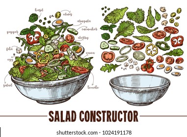 Vector set of sketch elements, components and ingredients for vegetables salat. Hand drawn collection of cut products and plate