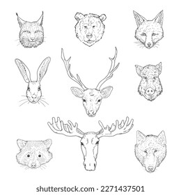 Vektorset von Sketch Forest Animals Köpfen. Vordere Ansicht.