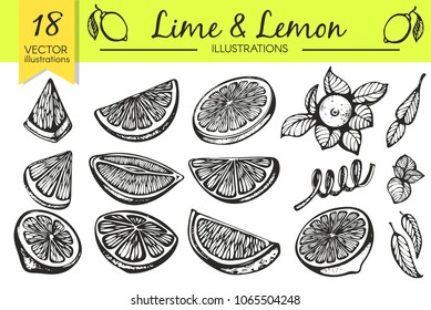 Vector set with sketch lemon and lime