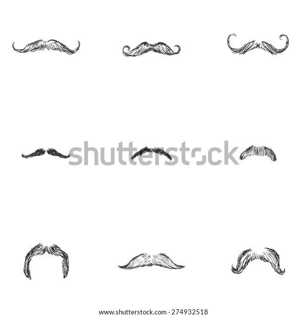 Vector Set\
of Sketch Mustaches. Types of Mustaches.\
