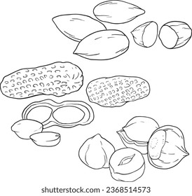 	
Vector Set of Sketch Peanuts. In Shell and Peeled - Food illustration series - Line vector