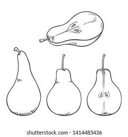 Vector Set of Sketch Pear Illustrations