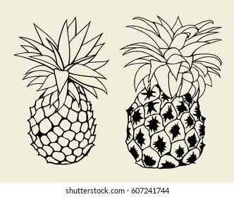 Vector Set Sketch Pineapple. Isolated on white