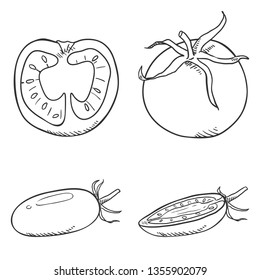 Vector Set of Sketch Tomato. Whole and Sliced Vegetables.