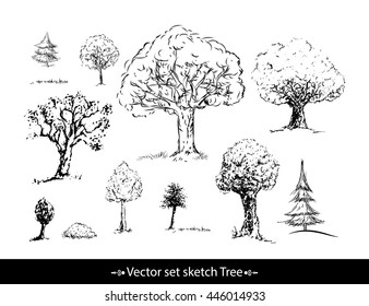 Vector set sketch Tree in black and white color. 