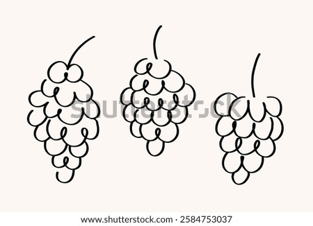 Vector set with sketched Grapes. Hand drawn illustration with bunch of Grapevine berries in line art style. Food, dry raisins, healthy food, desert, harvest fruit. For label, icon, card, logo, print