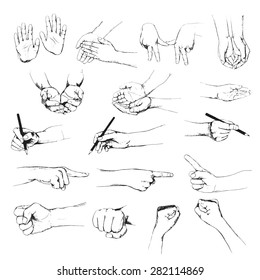 Vector set of sketched hands in different positions