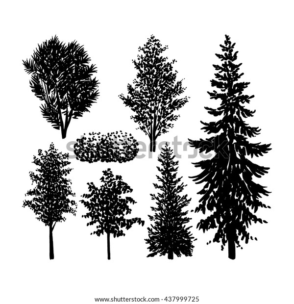 Vector Set Sketched Tree Freehand Tree Stock Vector (royalty Free 