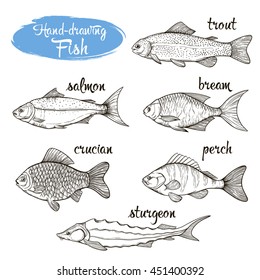 Vector set of sketches of different fishes isolated on a white background. Outline silhouettes handmade: bream, carp, trout, salmon, sturgeon, perch