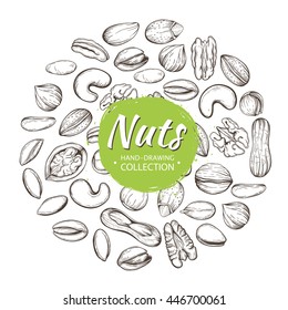 Vector set of sketches of various nuts isolated on a white background. The pattern with space for text.Line silhouettes of cashew, hazelnut, walnut, pistachio, pecan.