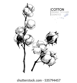 Vector set of skin care ingredients. Organic hand drawn elements. Cotton branch. Use for cosmetic package, shop, store, products,  spa salon, wellness program, procedure, skin, hair care