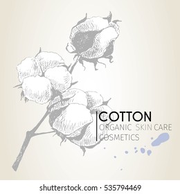 Vector set of skin care ingredients. Organic hand drawn elements. Cotton branch. Use for cosmetic package, shop, store, products,  spa salon, wellness program, procedure, skin, hair care