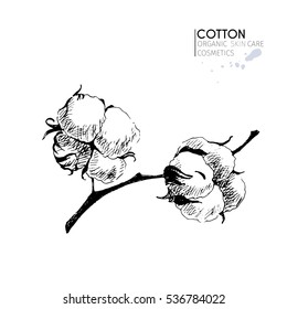 Vector set of skin care ingredients. Organic hand drawn elements. Cotton branch. Use for cosmetic package, shop, store, products,  spa salon, wellness program, procedure, skin, hair care