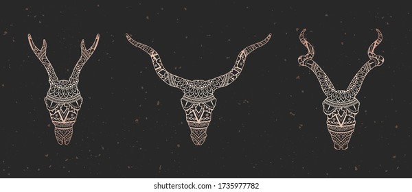 Vector set of skulls deer and antelope with decorative pattern. Gold image on black textured background. Ornate silhouette.
