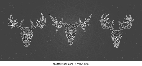 Vector set of skulls deer and moose with decorative pattern. White image on black textured background. Ornate silhouette.