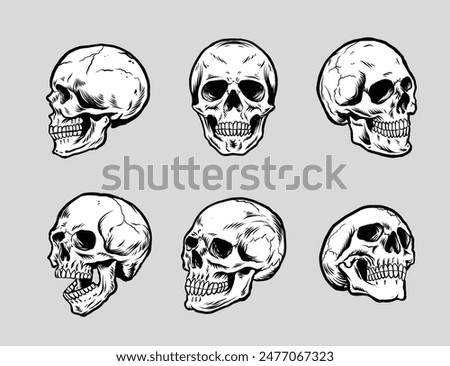 vector set of skulls in hand drawn style black and white