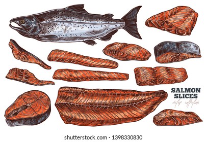 Vector set of slices, fillet, steak of salmon for bbq. Hand drawn seafood and red fish. Sketch illustration of meat food products