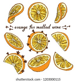 vector set with slices of orange with clove. Ingredients for mulled wine. Elements for winter or christmas design with hot drinks.