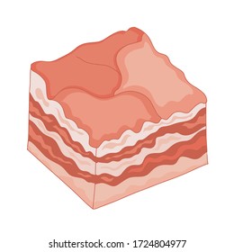 Vector Set Of  Slices Of Salo, Bacon, Lard, Silverside, Gammon. Fatty Slices Of Pork Meat, Brisket Or Ham, Tasty Snack, Delicious Food For Breakfast. Ukrainian, Russian Cuisine. 