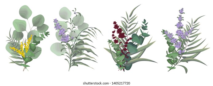 Vector set of small bouquets. Lavender flowers, Mimosa, eucalyptus, green leaves, plants. All elements are isolated.