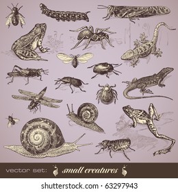 vector set: small creatures    collection various small animals
