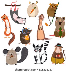 Vector Set Of Small Mammals In Cartoon Style.Opossum, Groundhog,hamster, Lemur,mole,gopher , Chinchilla, Ferret And Other. Bright Children Cartoon Collection. - Stock Vector