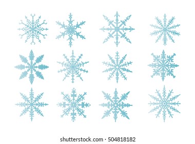 vector - set of snowflakes  isolated on background