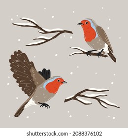 Vektor-Set mit schneebedeckten Baumzweigen und Robinen