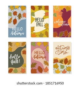 Vector set of social media stories design banner, autumn theme, gold and red leaves, autumn flowers and berries. Floral, plants backgrounds with copy space for text - for banner, greeting card, poster