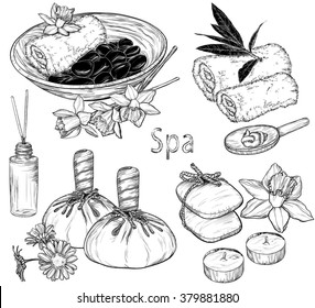 Vector set of spa illustrations, Beauty and health care sketch 