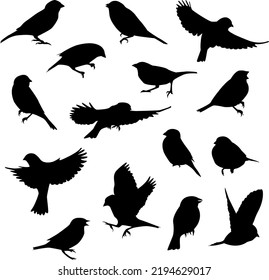 Vector set of sparrow silhouette