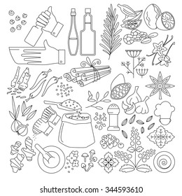 Vector set of Spice and cooking symbols. Collection of line design elements. 