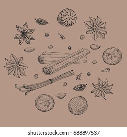 Vector set of spices