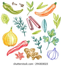 vector set of spices drawing by color pencil, doodle foods, hand drawn elements
