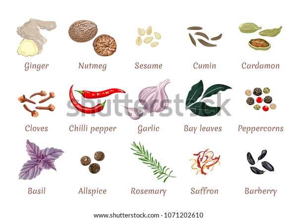 Vector Set Spices Flat Style Ginger Stock Vector (Royalty Free ...