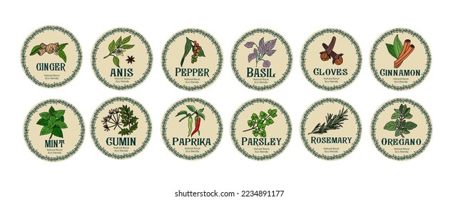 Vector set of spices food labels with herbs sketches: pepper, basil, paprika, oregano, rosemary, ginger, parsley. Packaging and labeling template. Organic, natural flavor, eco friendly, kitchen herbs.