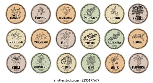 Vector set of spices food labels with herbs sketches: pepper, basil, paprika, oregano, rosemary and other. Packaging and labeling template. Organic, natural flavor, eco friendly, kitchen herbs .