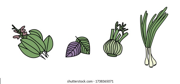 Vector set of spices and herbs - onion, basil,  - vector illustration,logo elements