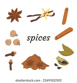 Vector set of spices isolated on white background with text. Image of anise, cardamom, cinnamon and cloves. Culinary items for cooking.