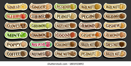 Vector set of Spices and Nuts, group of cut out cartoon raw spices and fresh nuts, various minimal design food signs for healthy nutrition, lot collection of isolated simple badges with variety words.