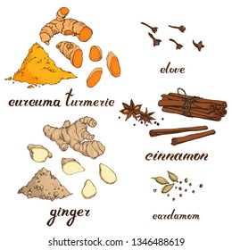 Vector set of spices : turmeric (curcuma), ginger, clove ,cinnamon, cardamom. Hand drawn elements for food design.