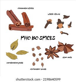 Vector set of spices used for vietnamese soup  with noodles pho bo; what spices to use when  preparing pho bo