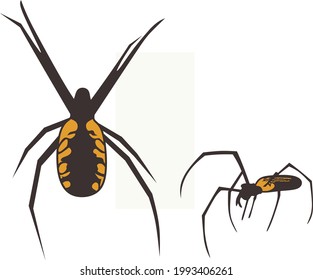conjunto vectorial de iconos de araña.adecuado para muchos fines.